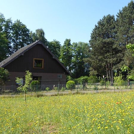 Ferienhaus An Der Borner Muehle Bruggen  Exteriör bild